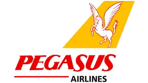 Fly Pegasus